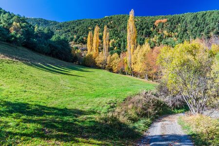 Countryside near La Massala village, Andorraの写真素材