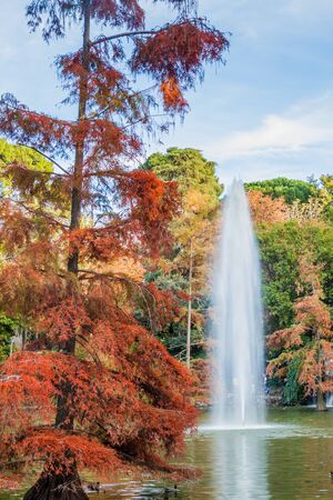 Cascada in Retiro park in Madrid, Spainの写真素材