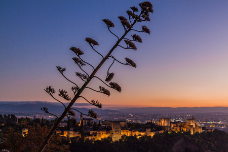 Alhambra in Granada during the sunset, Spain.