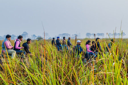 KAZIRANGA, INDIA - JANUARY 30, 2017: Tourists during the elephant safari in Kaziranga National Park, Indiaのeditorial素材