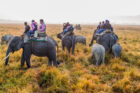 KAZIRANGA, INDIA - JANUARY 30, 2017: Tourists during the elephant safari in Kaziranga National Park, Indiaのeditorial素材