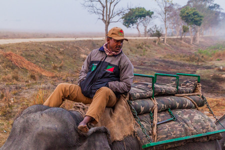 KAZIRANGA, INDIA - JANUARY 30, 2017: Mahout with his elephant in Kaziranga National Park.のeditorial素材