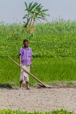 JAMUNA, BANGLADESH - NOVEMBER 7, 2016: Local peasant on a char (sandbank island) in Jamuna river near Bogra, Bangladesh.のeditorial素材