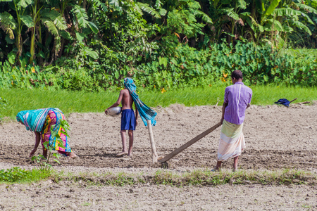 JAMUNA, BANGLADESH - NOVEMBER 7, 2016: Peasant family on a char (sandbank island) in Jamuna river near Bogra, Bangladesh.のeditorial素材