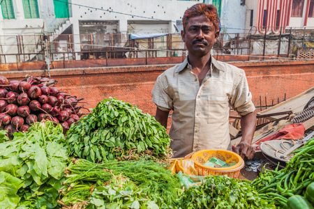 LUCKNOW, INDIA - FEBRUARY 3, 2017: Vegetable stall in Lucknow, Uttar Pradesh state, Indiaのeditorial素材