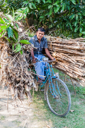 SONA MASJID, BANGLADESH - NOVEMBER 11, 2016: Local man carrying a load of wooden branches on his bicycle.のeditorial素材