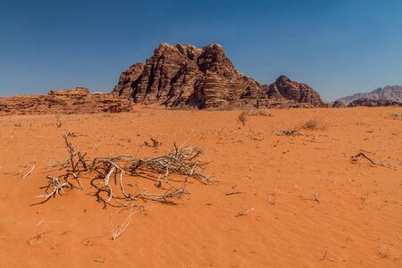 Landscape of Wadi Rum desert, Jordan
