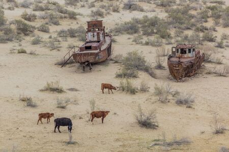 Rusting ships at the Ship Cemetery near Moynaq village at the former coast of Aral Sea, Uzbekistanの写真素材