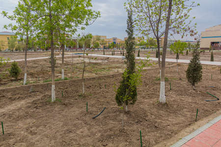 Park in the center of Nukus, Uzbekistan