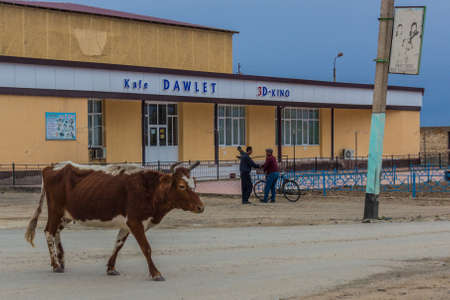 MUYNAQ, UZBEKISTAN - APRIL 22, 2018: Cow in front of 3D cinema in former port town Moynaq...