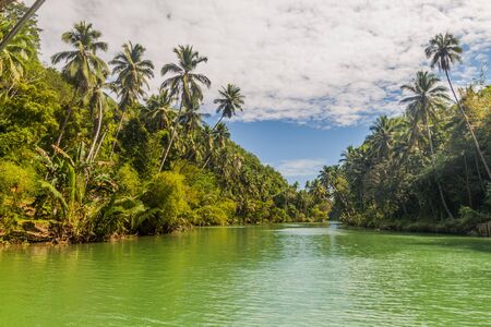 View of Loboc river on Bohol island, Philippinesの写真素材