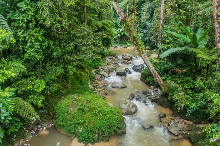 Small creek near Taman Rata town in the Cameron Highlands, Malaysia
