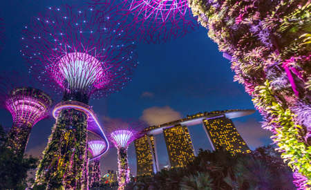 SINGAPORE, SINGAPORE - MARCH 11, 2018: Evening view of Supertree Grove and Marina Bay Sands building in Singaporeのeditorial素材