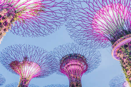 Supertree grove at night, Garden by the Bay, Singaporeのeditorial素材