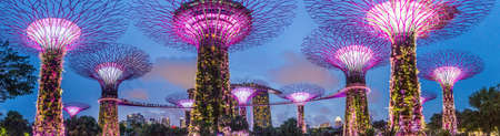 SINGAPORE, SINGAPORE - MARCH 11, 2018: Evening view of Supertree Grove in Singaporeのeditorial素材