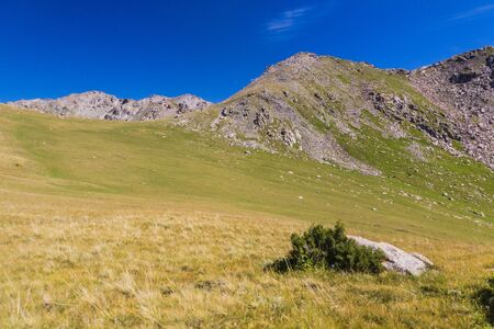 Mountain meadows near Karakol, Kyrgyzstanの写真素材