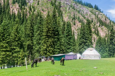 Yurts and horses in Jeti Oguz valley, Kyrgyzstan