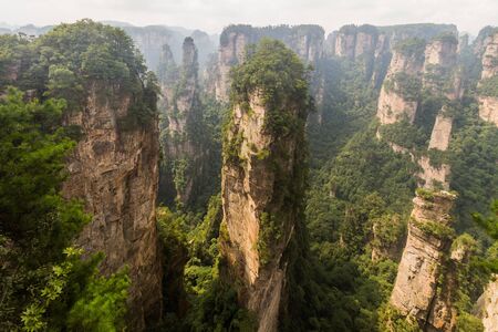 Rock pillars in Wulingyuan Scenic and Historic Interest Area in Zhangjiajie National Forest Park in...
