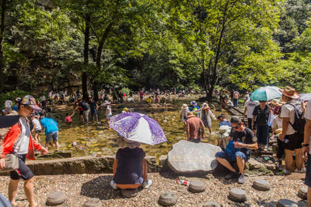WULINGYUAN, CHINA - AUGUST 8, 2018: Visitors of Zhangjiajie National Forest Park are enjoying the Golden Whip stream, Hunan province, Chinaのeditorial素材