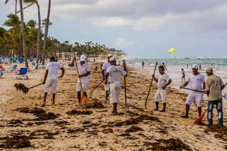 PUNTA CANA, DOMINICAN REPUBLIC - DECEMBER 8, 2018: Workers clean seaweed at Bavaro beach, Dominican Republicのeditorial素材