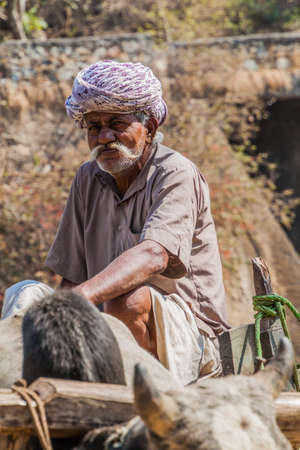RANAKPUR, INDIA - FEBRUARY 13, 2017: Local man works with a zebu at a chain pump, Rajasthan state, Indiaのeditorial素材