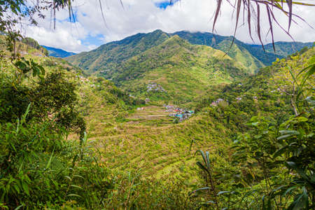 Rice terraces near Cambulo village, Luzon island, Philippinesの写真素材