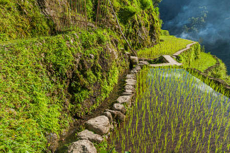 Ifugao rice terraces on Luzon island, Philippinesの写真素材