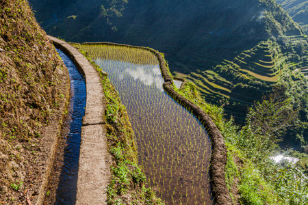 Ifugao rice terraces on Luzon island, Philippines