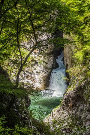 Deep gorge near Skocjanske jame (Skocjan Caves), Sloveniaの写真素材