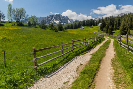 Path in Bosaca village in Durmitor mountains, Montenegroの写真素材