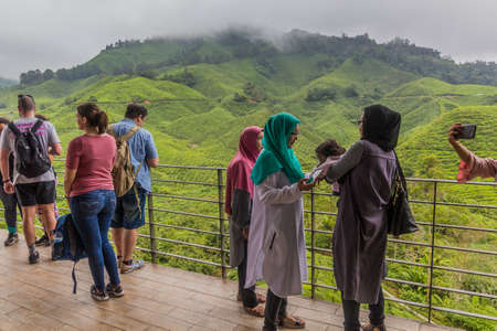 CAMERON HIGHLANDS, MALAYSIA - MARCH 28, 2018: Terrace of the BOH Tea Centre in the Cameron Highlands, Malaysiaのeditorial素材