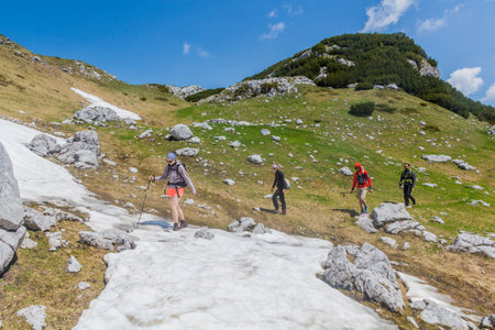 DURMITOR, MONTENEGRO - JUNE 6, 2019: Group of hikers in Durmitor national park, Montenegro.のeditorial素材