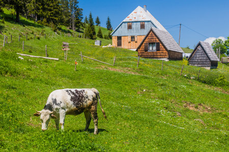 Bosaca village in Durmitor mountains, Montenegroのeditorial素材