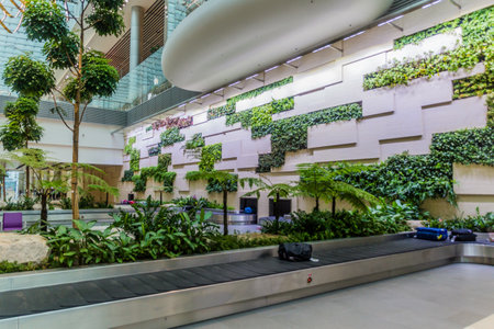 SINGAPORE, SINGAPORE - MARCH 10, 2018: Baggage carousels in Singapore Changi Airport.のeditorial素材