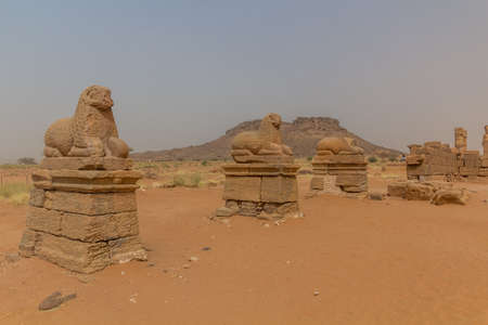 Colonnade of rams at the Temple of Amun in Naqa, Sudanの写真素材