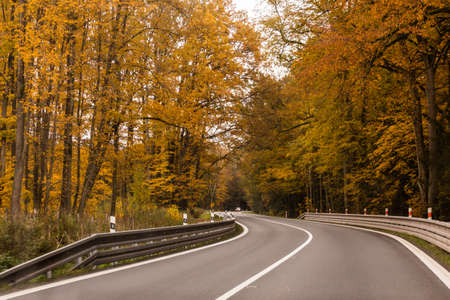Autumn view of I11 road, Czech Republic