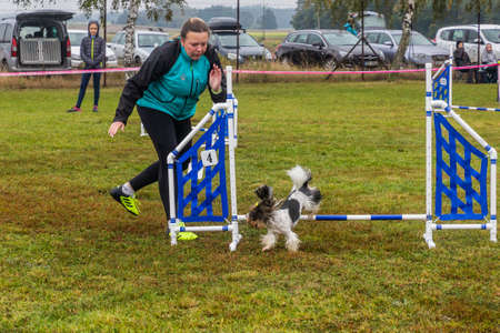 LYSA NAD LABEM, CZECH REPUBLIC - SEPTEMBER 28, 2020: Dog and a handler during agility competition in Lysa nad Labem, Czech Republicのeditorial素材