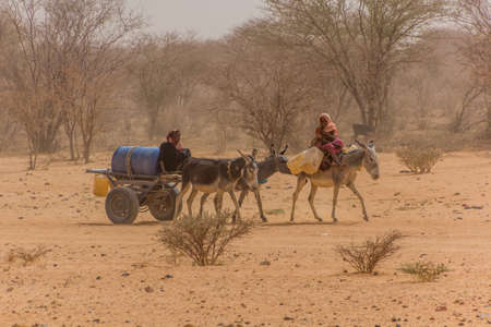 RIVER NILE STATE, SUDAN - MARCH 5, 2019: Villagers traveling with their donkeys to a well in a dry...