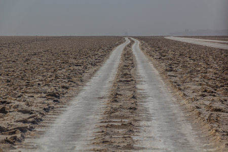 Car tracks in salt flats in the Danakil depression, Ethiopia