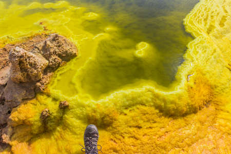 Detal of a pond in Dallol colorful volcanic landscape in the Danakil depression, Ethiopia.の写真素材