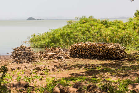 Firewood piles at Zege peninsula in Tana lake, Ethiopiaの写真素材