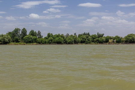 Coast of Tana lake, Ethiopiaの写真素材