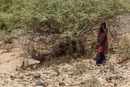 DANAKIL, ETHIOPIA - MARCH 25, 2019: Local woman in Afar region, Ethiopia.