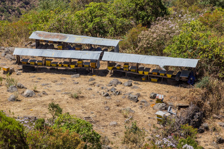 Bee hives near Kosoye village, Ethiopia