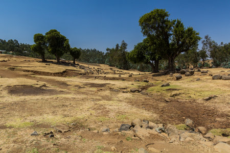 Rural landscape near Kosoye village, Ethiopiaの写真素材