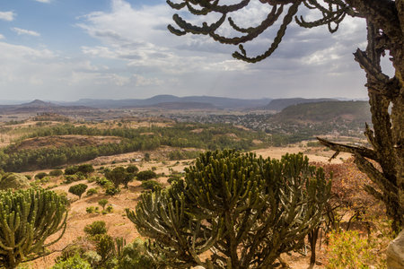 Rural landscape near Axum, Ethiopia