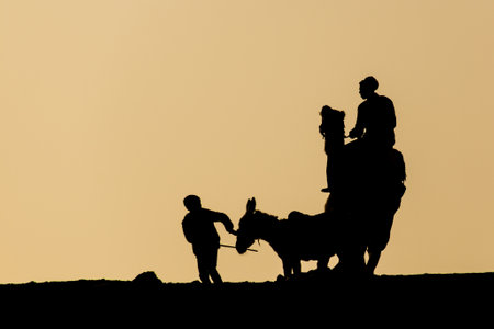 Silhouettes of a donkey and camel rider at the funerary complex in Saqqara, Egyptの写真素材