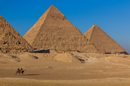 Camels in front of the Great pyramids of Giza, Egyptの写真素材