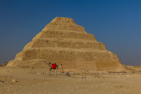 Camel in front of the Stepped Pyramid of Djoser (Zoser) in Saqqara, Egypt