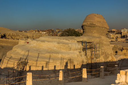 View of the Sphinx in Giza, Egyptの写真素材